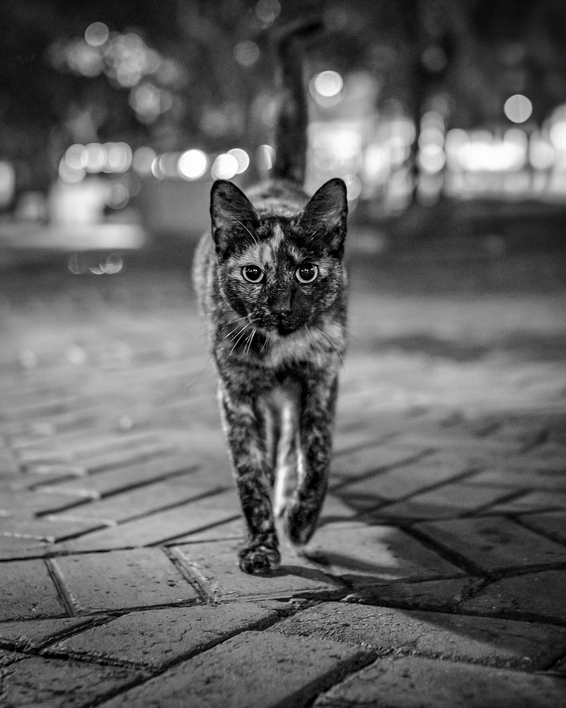 El que camina de noche